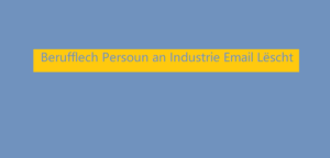 Berufflech Persoun an Industrie Email Lëscht