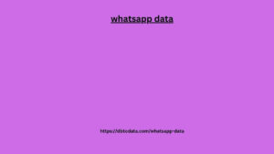 whatsapp data